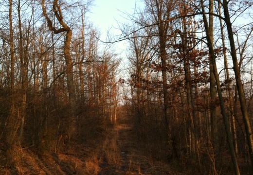 Big Limestone Trail